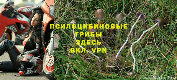 СК Новозыбков