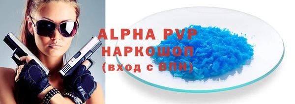 СК Новозыбков
