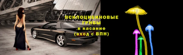 СК Новозыбков