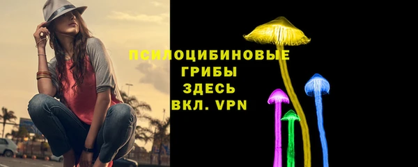 хмурый Болохово
