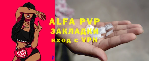 СК Новозыбков