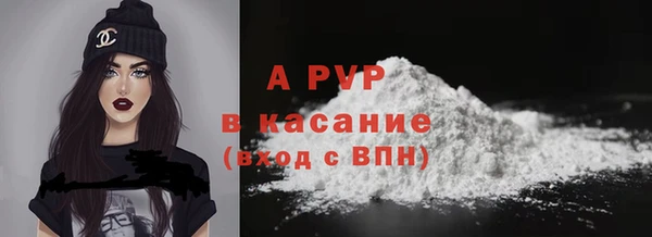 твердый Новокубанск