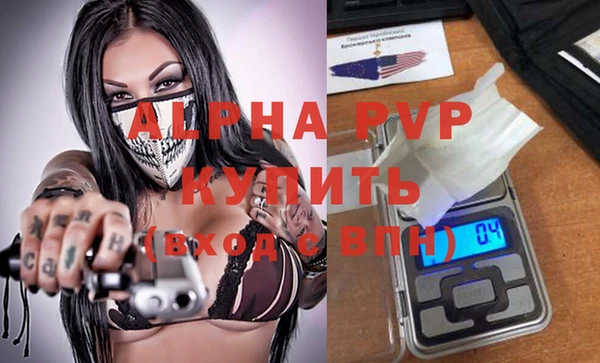 СК Новозыбков