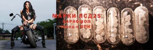 СК Новозыбков
