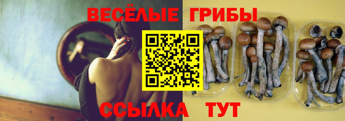 Галлюциногенные грибы ЛСД Асбест